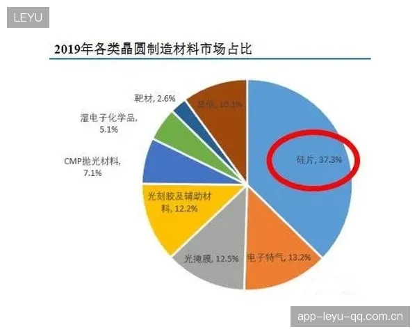 维罗纳整体组织提升数据明显：开启企业成长的新引擎